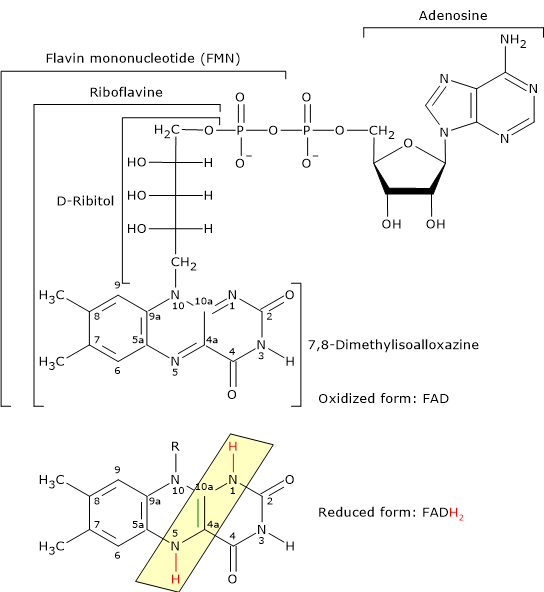 pix Hydroxyethyl Tpp Structure pyruvate dehydrogenase complex structure reactions