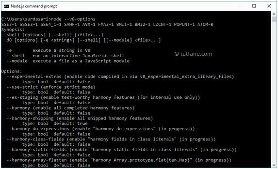 Nodejs Org Apps Site Pages En Learn Command Line Run Nodejs Scripts - Best Ocean Designs in Desktop