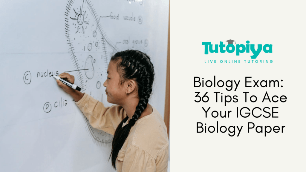 igcse biology 36 tips to help you ace the igcse biology paper