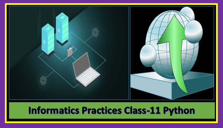 Informatics practices class-11 Python