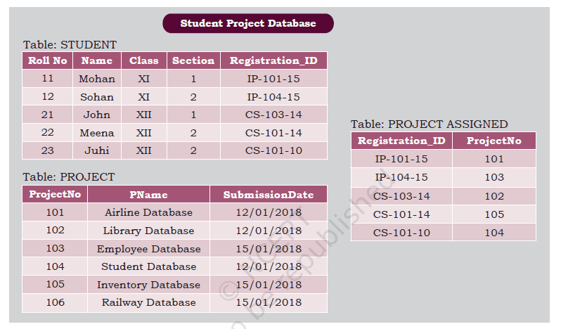 NCERT Solutions Database Concepts Class 11 easy explanation