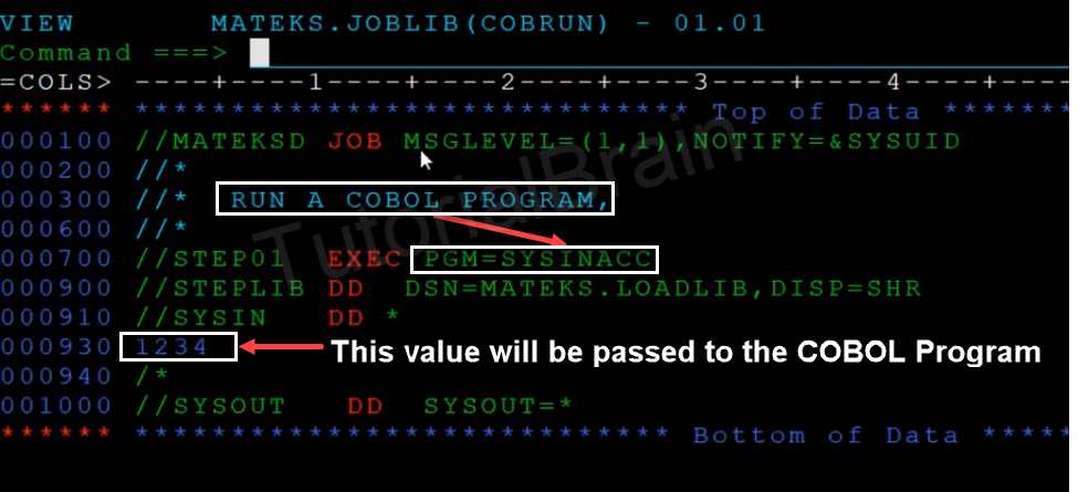 TutorialBrain-SYSIN coded in JCL passes value to COBOL Program