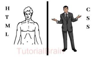 Css 3 Tutorial Beginner To Advance Level Tutorialbrain - Nature Design Collection - Full HD Quality