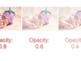 Opacity Css Tutorialbrain