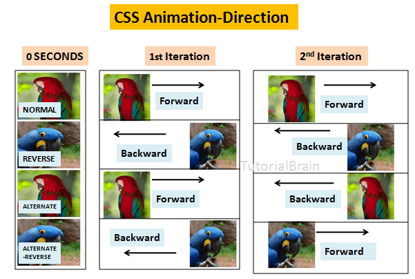 CSS Animations — TutorialBrain