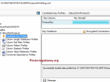 Data Profiling Task In Ssis