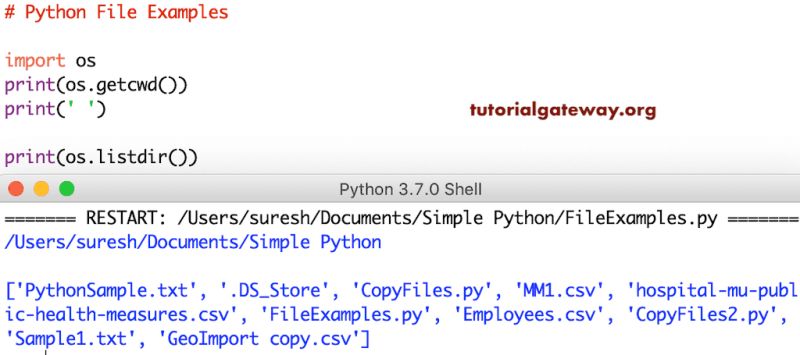 How To Open New Python File In Vscode - Classic Colorful Background - Retina