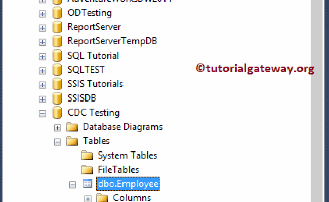 Change data capture in sql server otosection