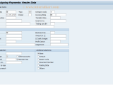 F 31 Sap Tcode Post Outgoing Payments