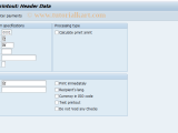 F 58 Sap Tcode Payment With Printout