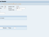 F 65 Sap Tcode Preliminary Posting