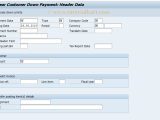 Fba3 Sap Tcode Clear Customer Down Payment