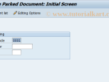 Fbv2 Sap Tcode Change Parked Document