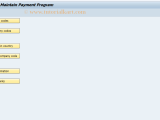 Fbzp Sap Tcode Maintain Pmnt Program Configuration