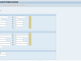 Fznb Sap Tcode Payment Post Processing