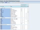 Okey Sap Tcode Display Time Dependent Field Process