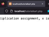 Php Multiplication Assignment Operator