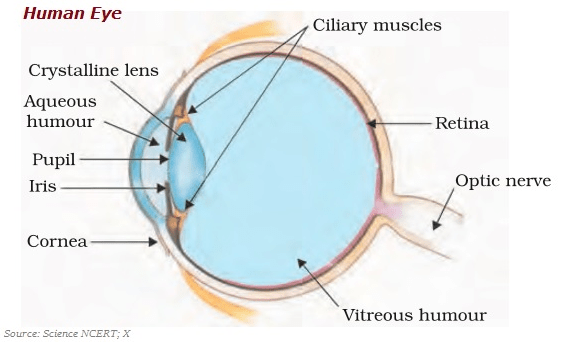 Structure and Function of Human Eye | Class X – Sharya Academy