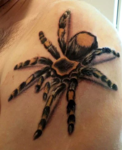 Tarantola - Tuttotattoo.com 487_x_397_jpg