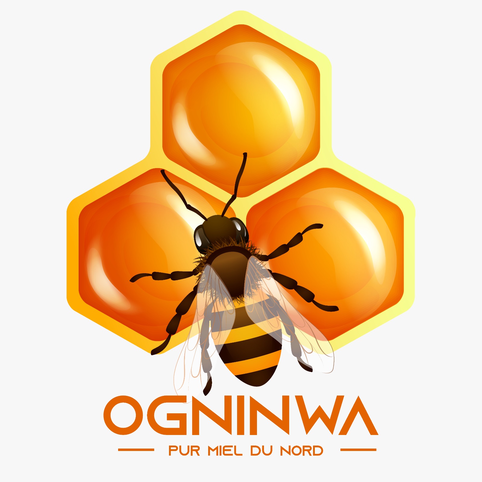 ogninwa-pur-miel-du-nord-benin-sans-aucun-additif-miel-naturel-nature-de-cajou-et-aphrodisiaque