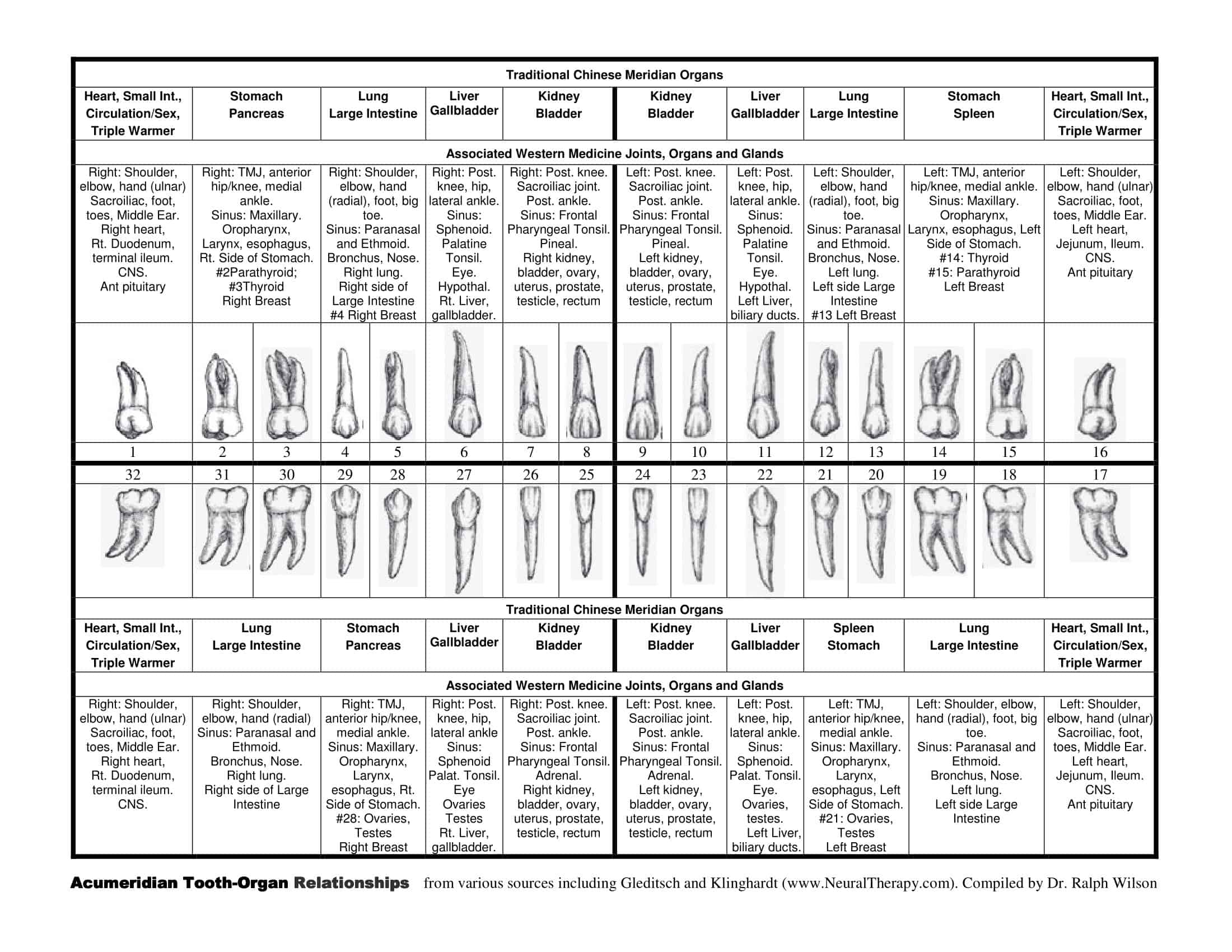Dental Charting Template 2025 2026 2027 Free Online Tooth Chart Resource 
