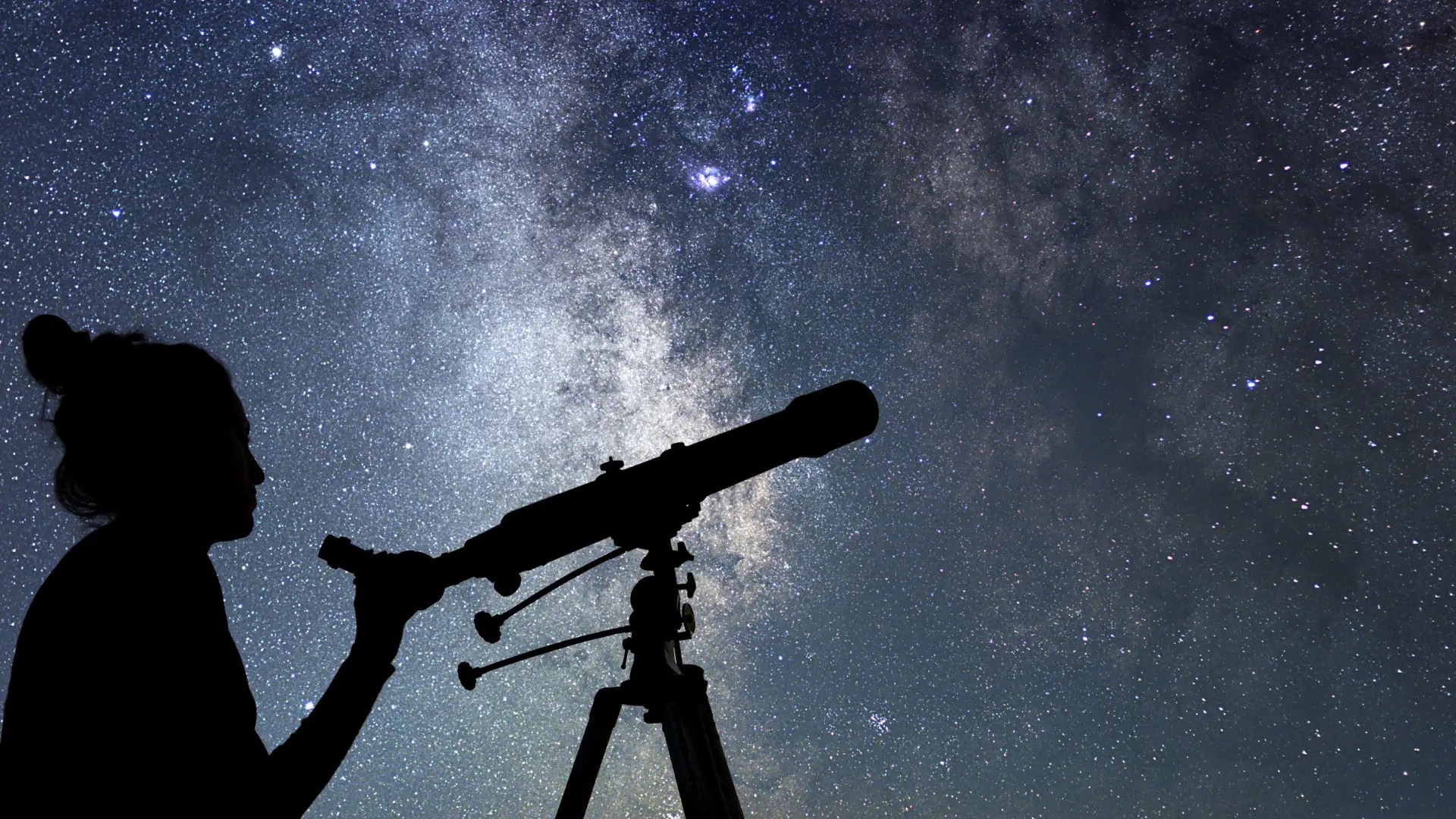 Echoes in an Indifferent Universe: NT Conceptualizers