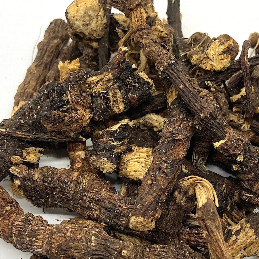 Osha Root - one of the 6 Herbs for Lung Health Naturally