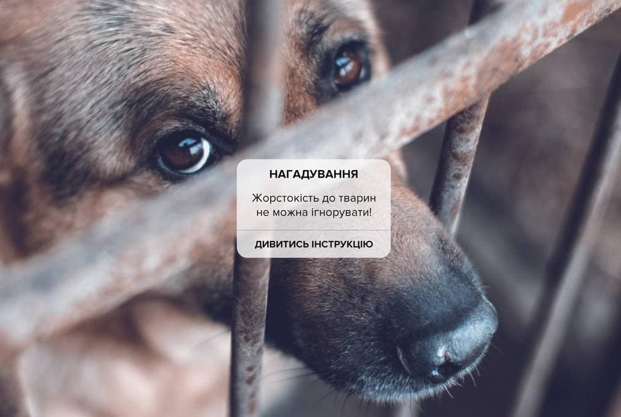 За 8 місяців зафіксовано більш як 150 випадків жорстокого поводження з тваринами.