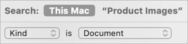 Finder Smart Folder search filters