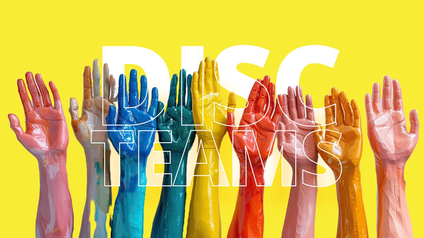 DISC-TEAMS DISC-TEAMS