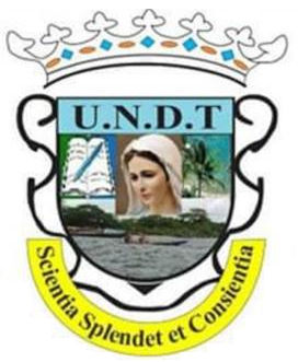 UNDT