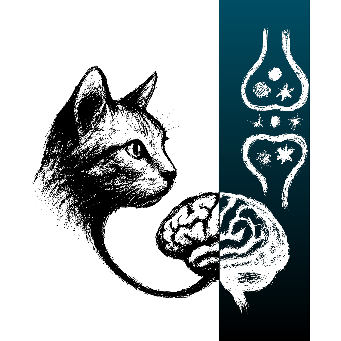 Dessin au fusain minimaliste d’un chat relié à un cerveau humain avec des synapses, symbolisant le modèle félin de l’Alzheimer