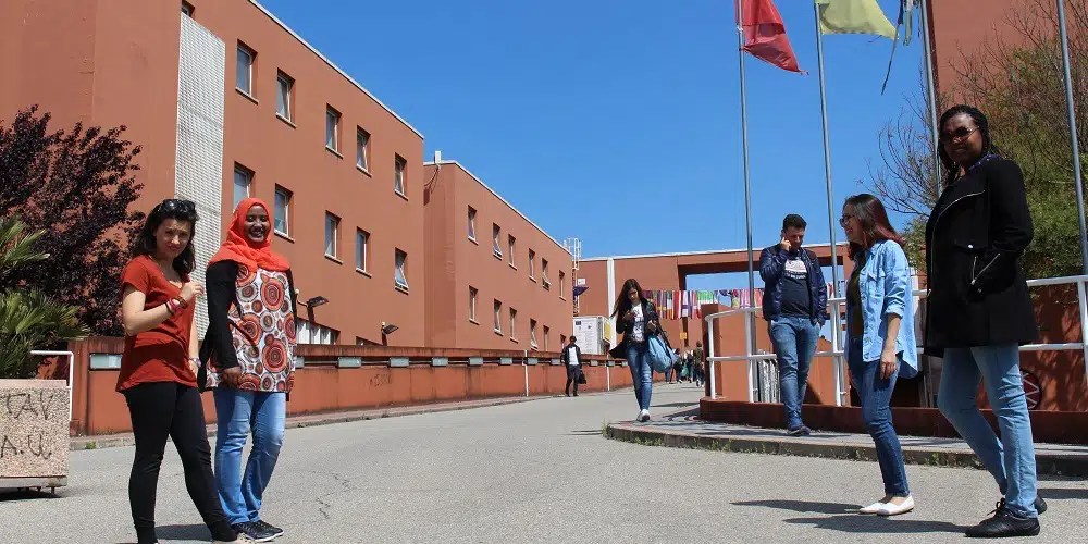 Formazione Insegnanti - Università Della Calabria 500_x_1000_webp