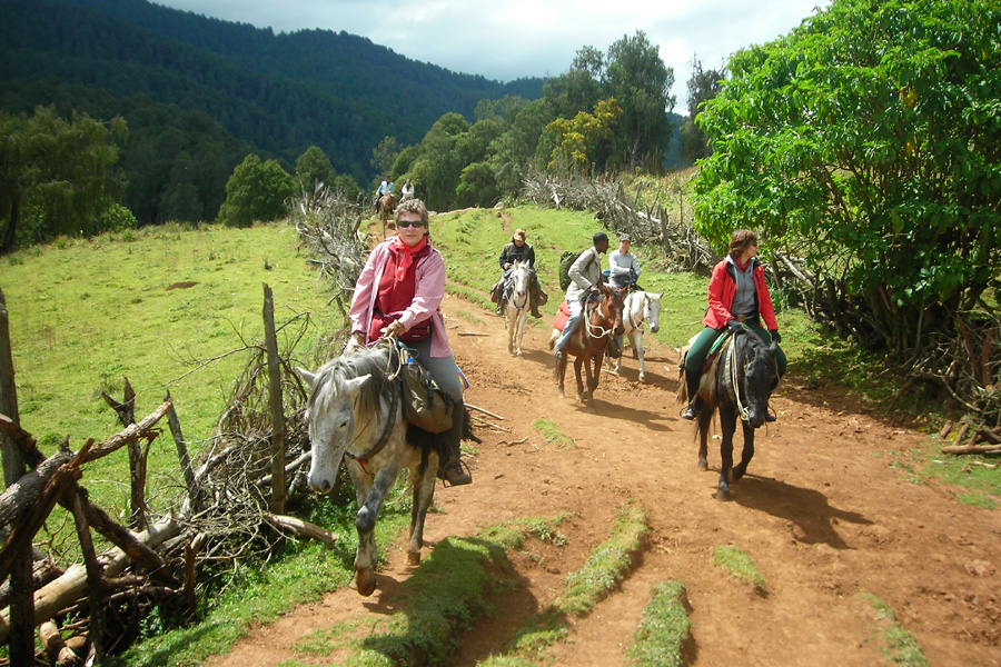 Abyssinian Explorer Ethiopia Horse Riding Holidays