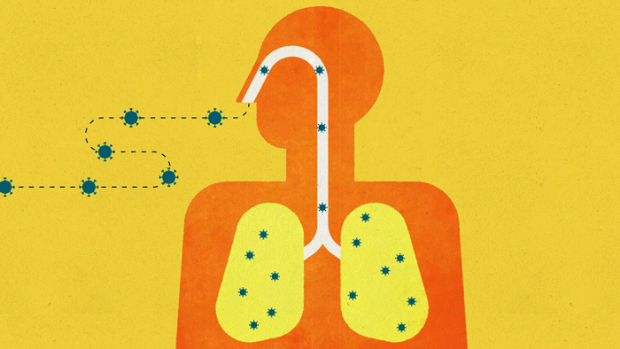 Virale immunoloog geschokt na onderzoek werking covid vaccins: The Covid Vaccine Came Out Super Quickly Here S Why It S Safe University Of California