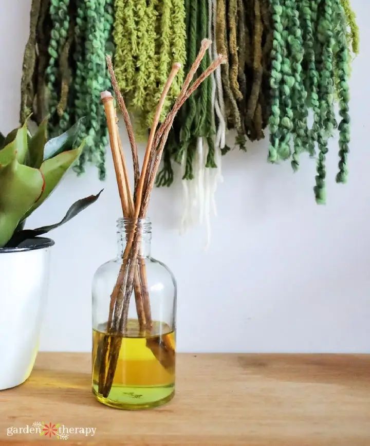 Diy Diffuser How To Make A Room Diffuser Kaitlin Madden - Creative Gradient Texture - Ultra HD