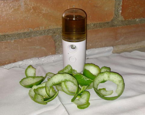 CEGAH RADIASI GAWAI DENGAN NANO SPRAY EKSTRAK KULIT JERUK NIPIS |  Universitas Negeri Yogyakarta