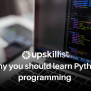 Why You Should Learn Python Programming