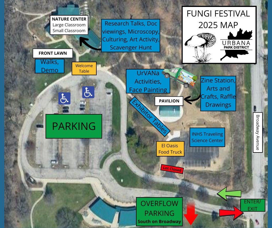Fungi Festival 