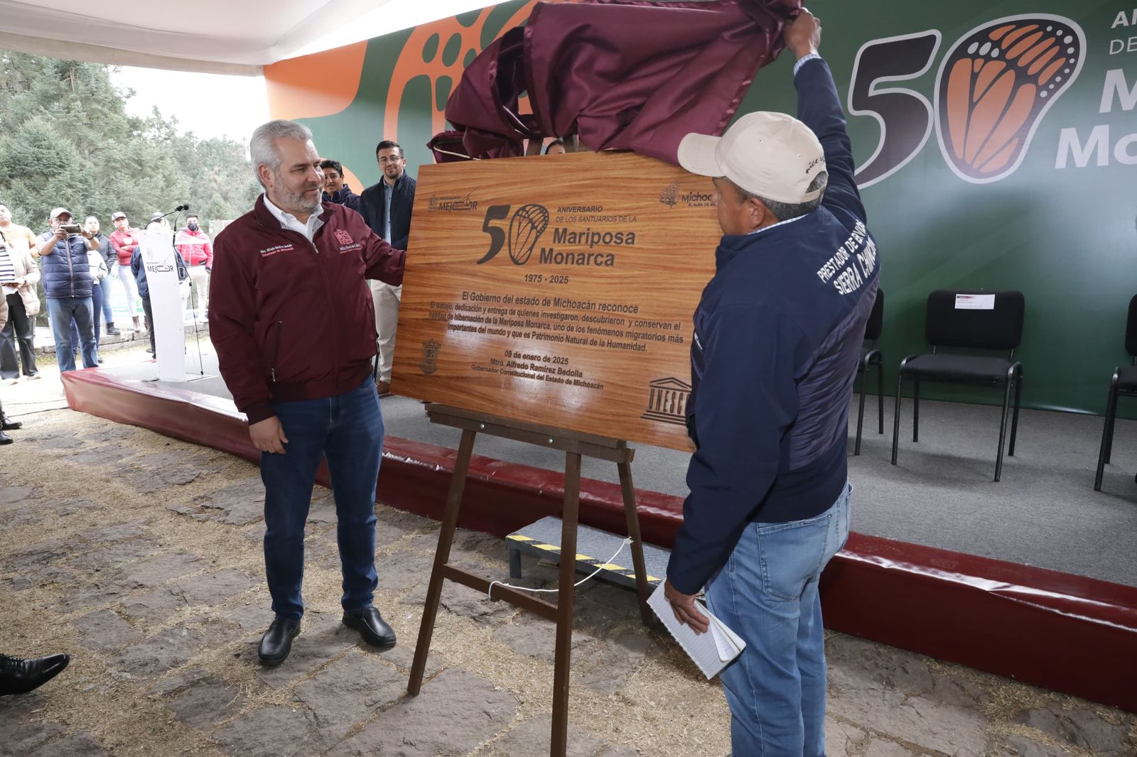 Gobierno celebra aumento de 99% de ocupación de la Monarca en bosques de Michoacán y México