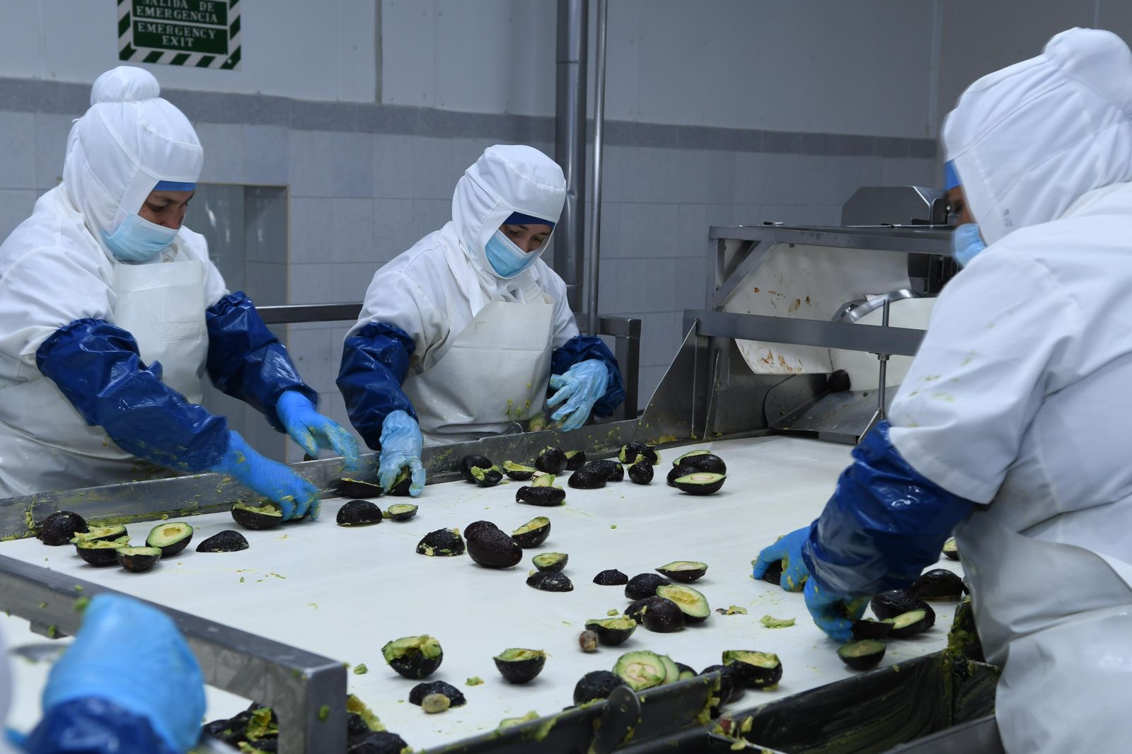 Parque Bajío impulsará sectores de agroindustria, autopartes y logística: Sedeco