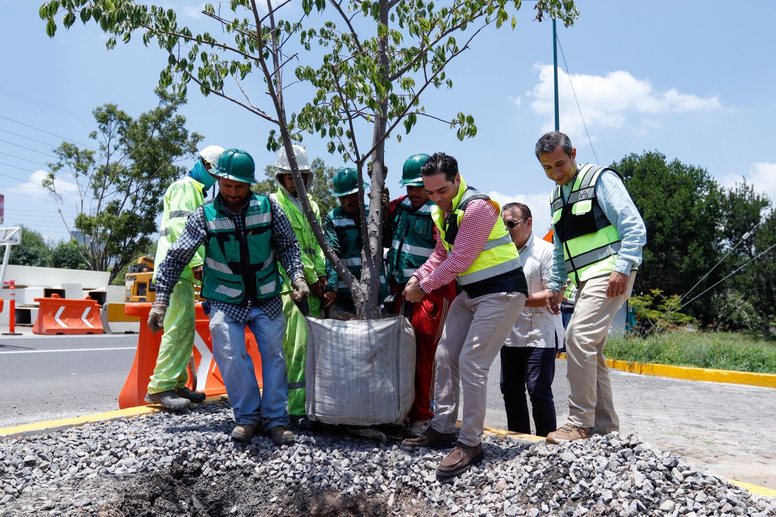 SCOP reubica más de 100 árboles por obra de distribuidor salida a Pátzcuaro