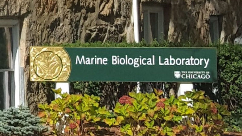 When you engage a lab . Lab Science Equipment Moves
