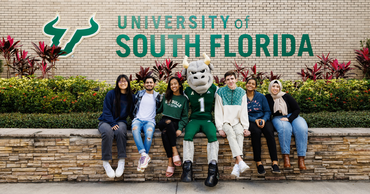 Office Of Admissions University Of South Florida Open Graph Image 