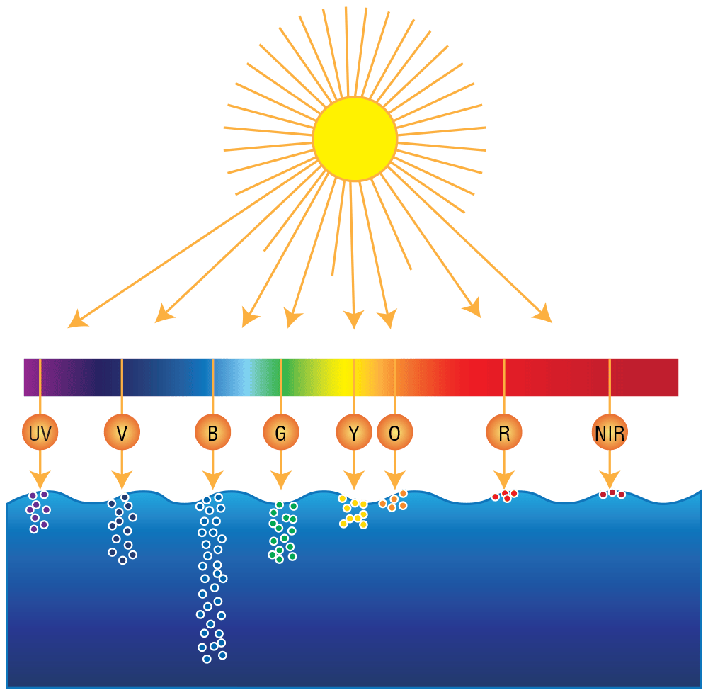 Sunlight Spectrum