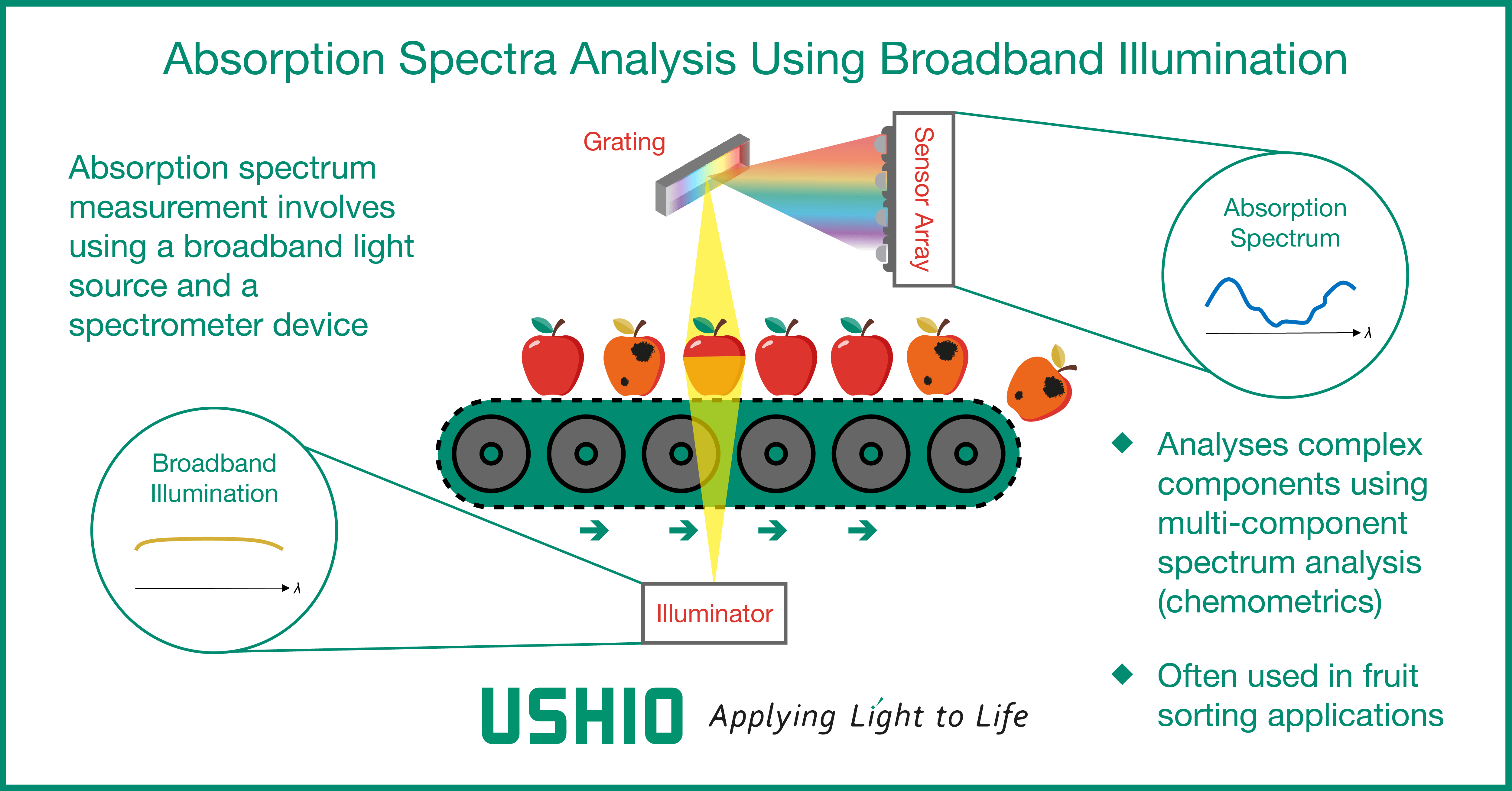 Fig 4 - Absorption Spectra Analysis_US-EN