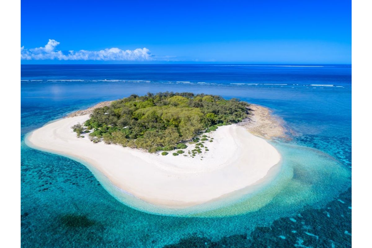 A 3 hectare private cove with a rocky beach, surrounded by rainforest and all the magnificence of the great barrier reef. 12 Of The Best Private Islands Australia Has For Rent Vacations Travel