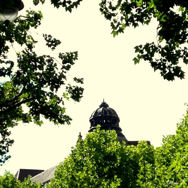 Berliner Impressionen 12.07.2014