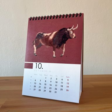 CALENDARIO LULARI