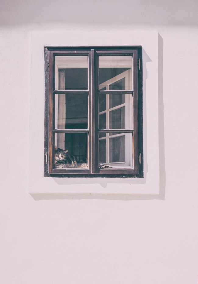 5 Signs That Your Wooden Window Frames Need To Be Replaced Valley Windows
